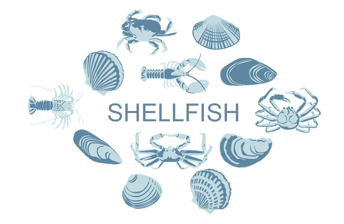 Seafood Buying Guides FishChoice