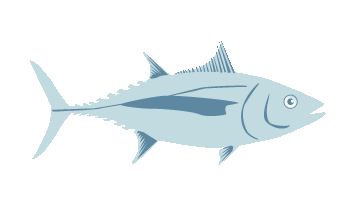 Albacore Tuna