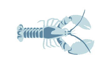 American Lobster