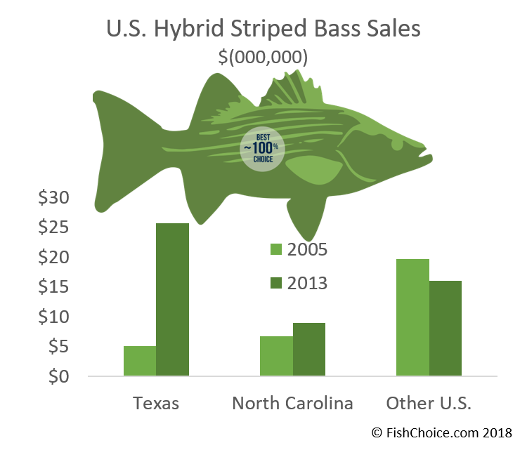 Hybrid Striped Bass FishChoice